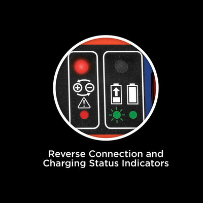 6V and 12V Battery Charger/Maintainer