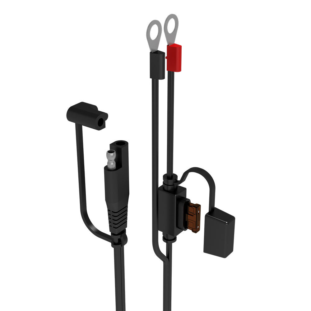 Plus High Efficiency 1.25 Amp Charger.